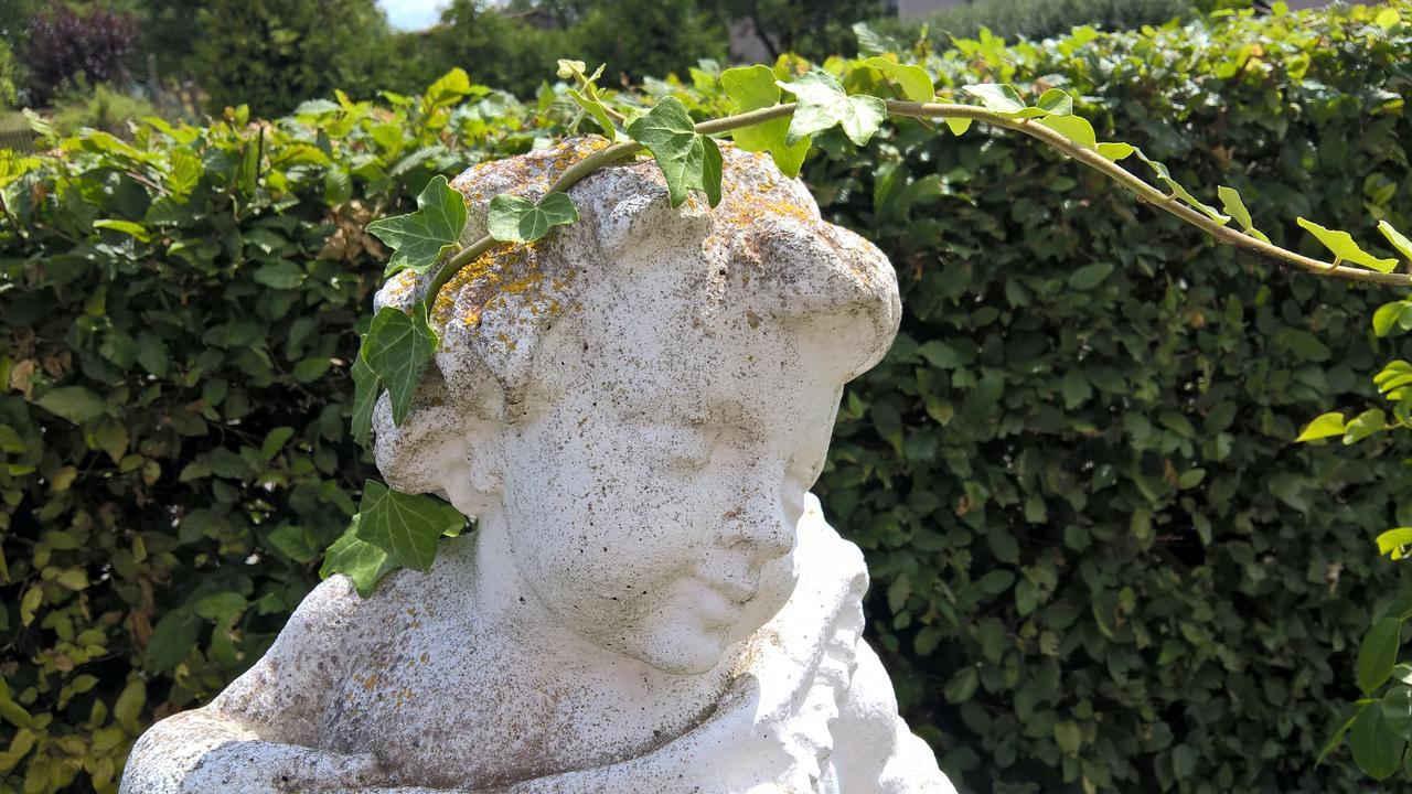 Das Kleine Hotel Iphofen, Fruehstueckszauber, No Waste, Nachhaltig, Nahe Aller Weingueter, Knauf Gips Kg Und Connekt, Kleines Secret Mit Garten & Terrassen, Tv Mirrorring, 55" Tv, Fine Dining, Hunde Willkommen Exteriör bild